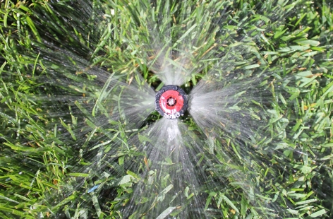 Overhead Shot Of Sprinkler Head Spraying Water