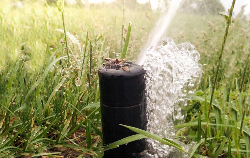 Broken Sprinkler Heads in Dallas? Why You Should Call a Professional