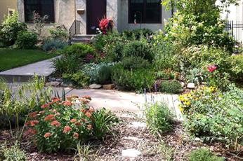 Raingardens reduce runoff pollution in storm water.