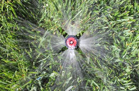 Overhead Shot Of Sprinkler Head Spraying Water