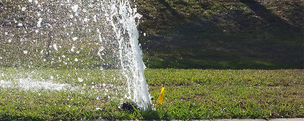 broken sprinkler head repair Sarasota Florida