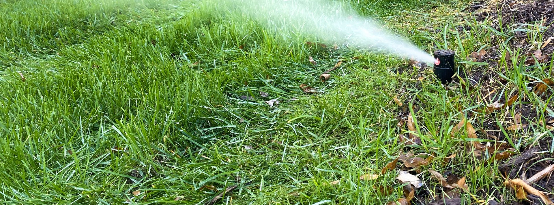 winterize sprinkler system in Richardson, TX