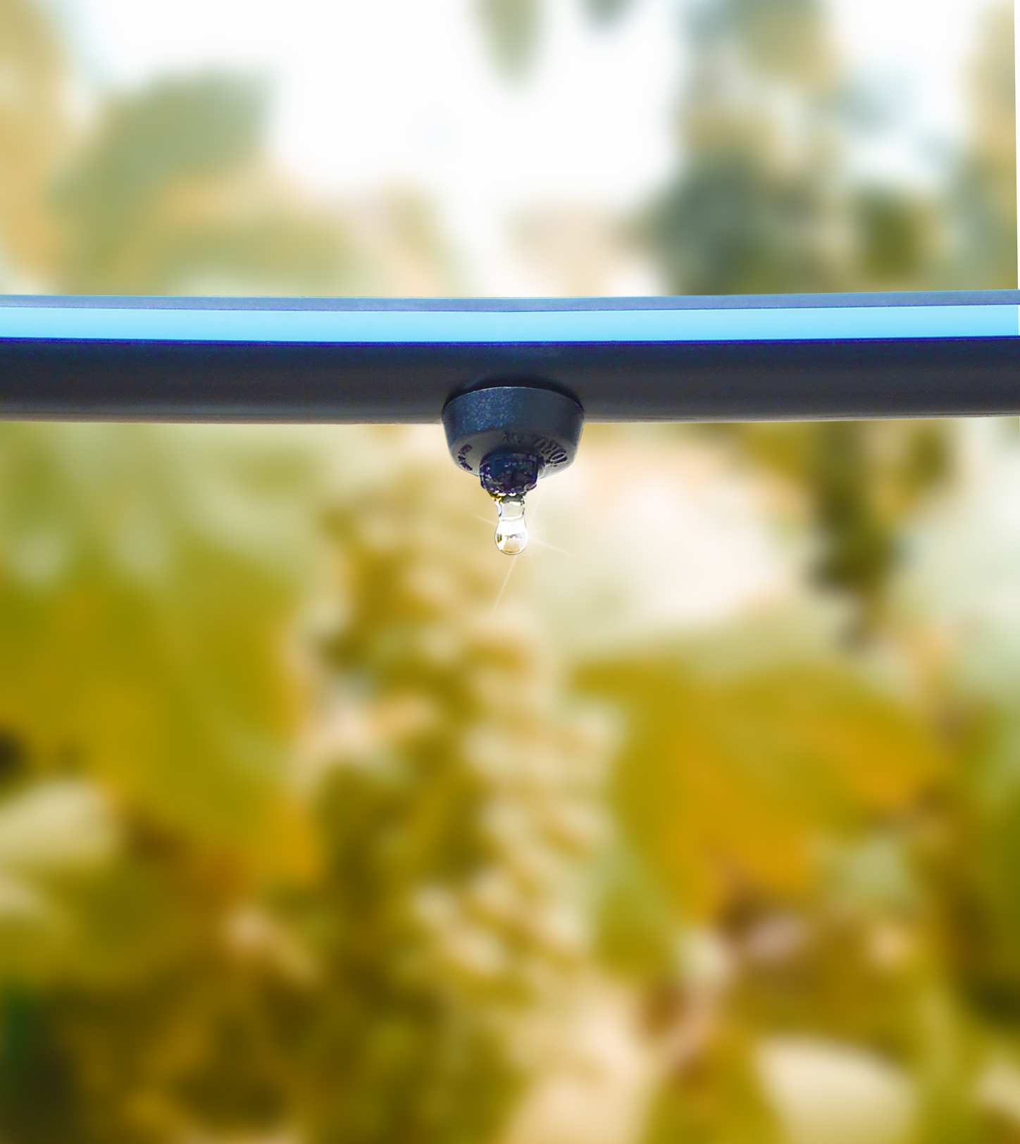 Who Can You Rely on for the Best Drip Irrigation System?