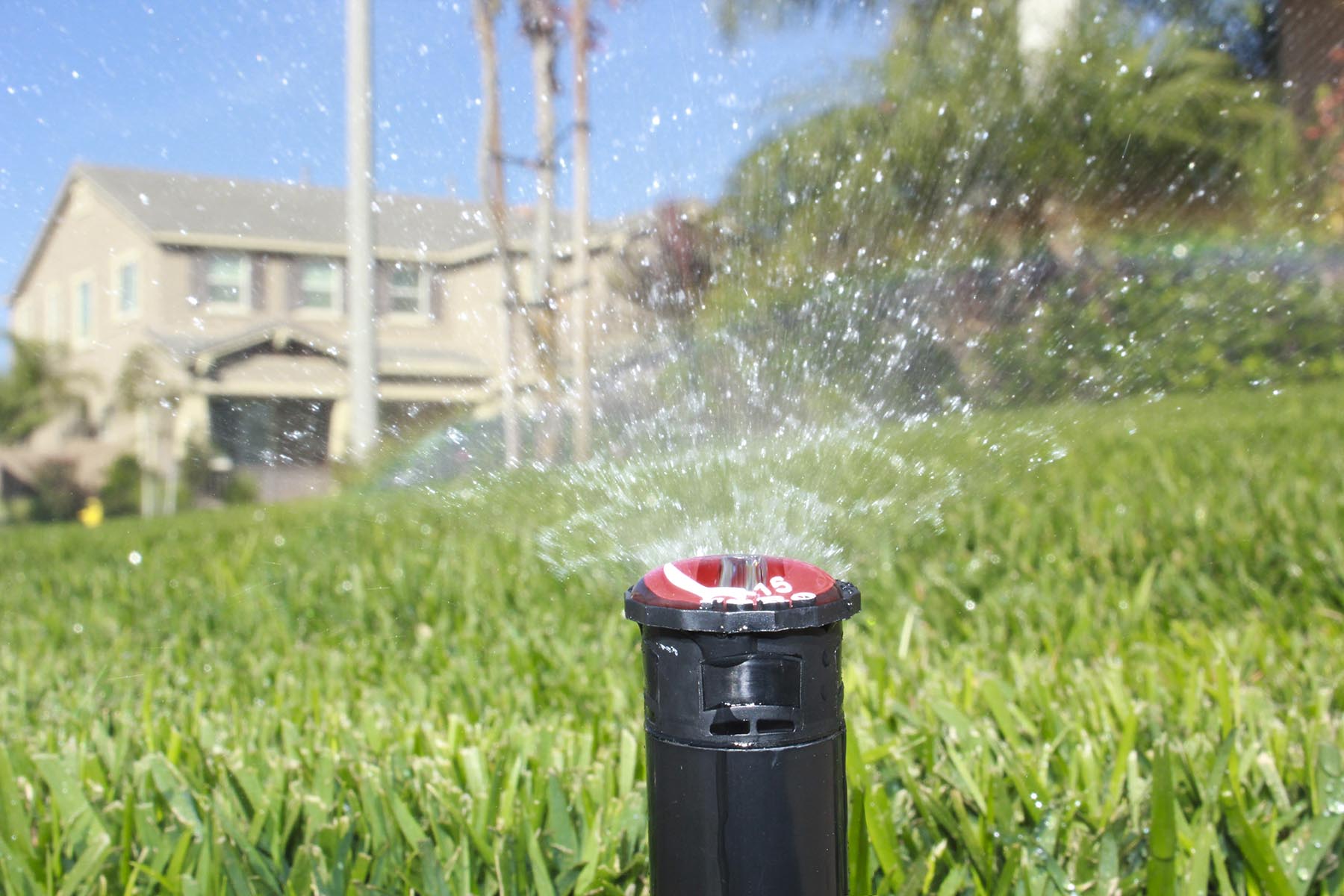 Twin Falls Sprinkler Landscaping Companies- Call Jake Today! Idaho Contractor
