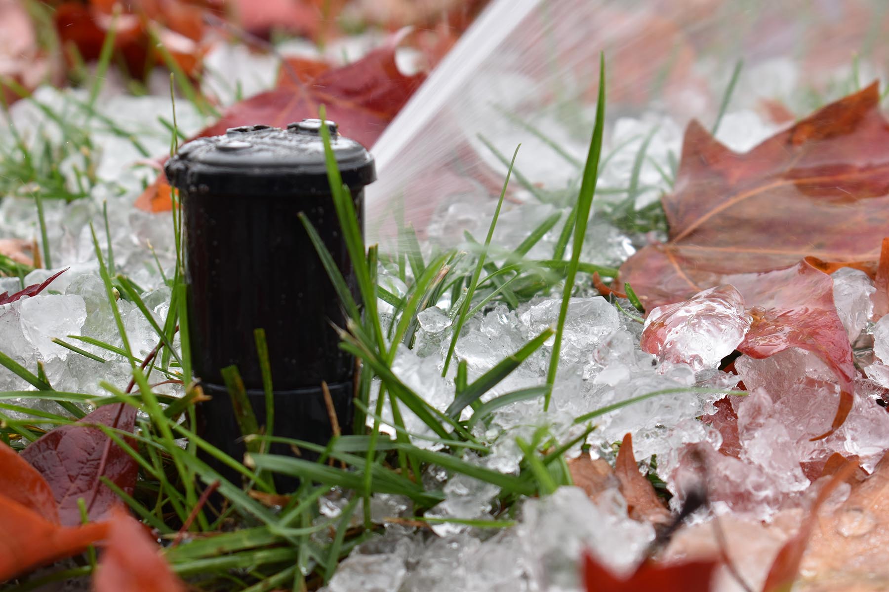 professional Monroe irrigation winterization blowout