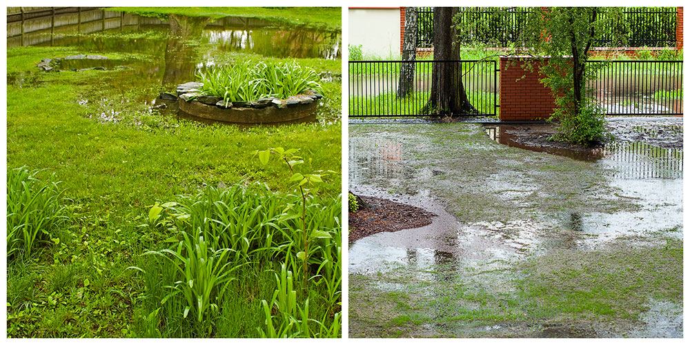 yard drainage solutions in Roanoke TX
