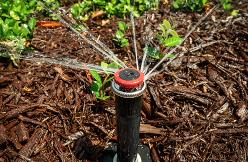 irrigation installation from Conserva Irrigation of Crystal Coast