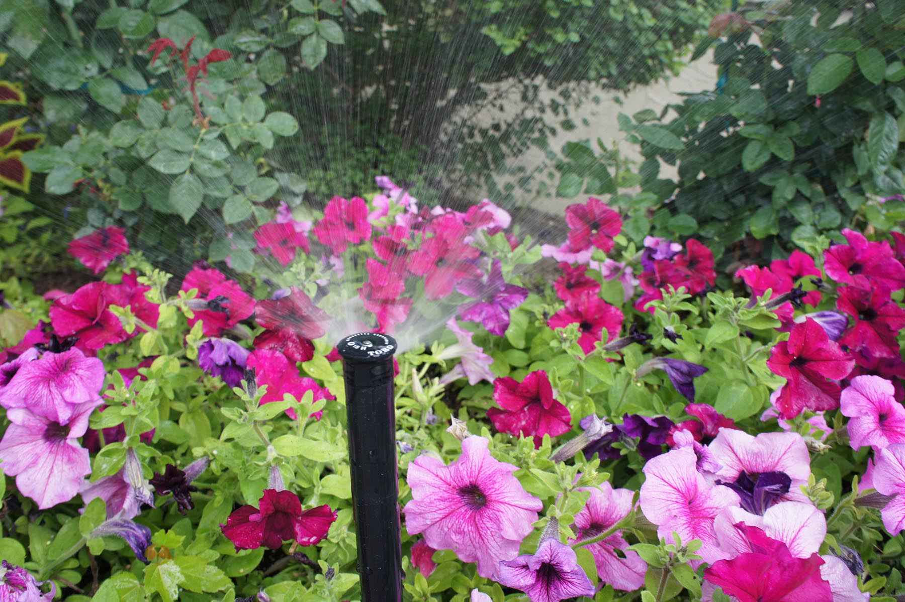 professional irrigation repair Marlboro