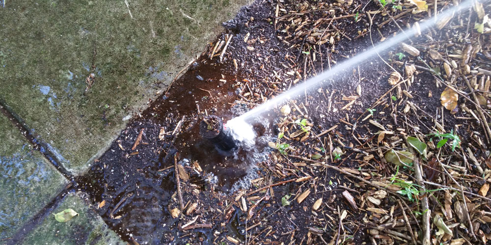 sprinkler head repair North Fort Myers Florida