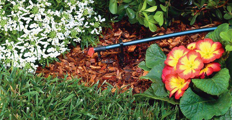 Drip Irrigation Installation in Norfolk