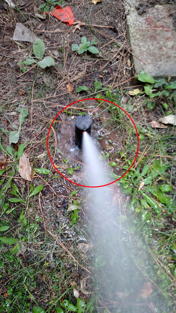 Broken Sprinkler Wasting Water 
