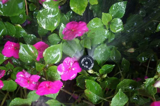 Marlboro Irrigation Installation NJ Jpg