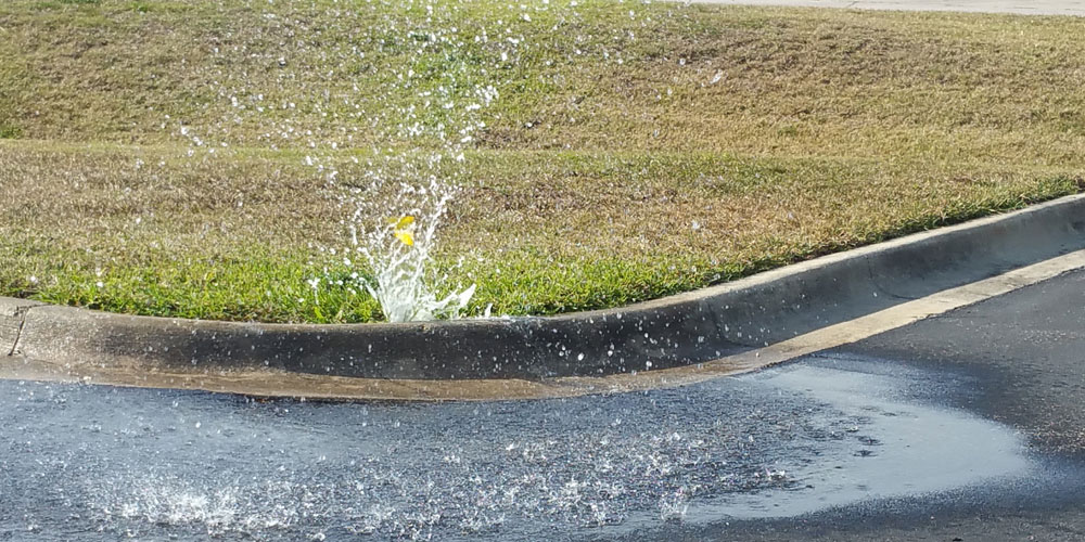 broken sprinkler head repair Bradenton FL