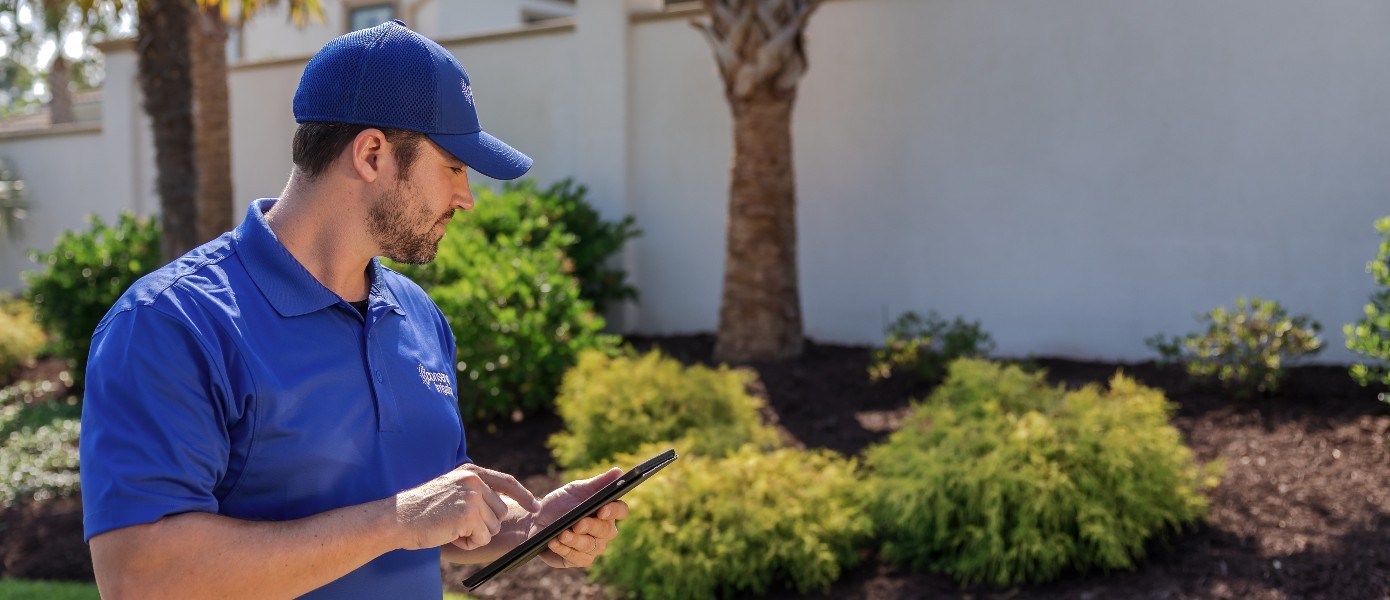 Irrigation System Startups in Medina