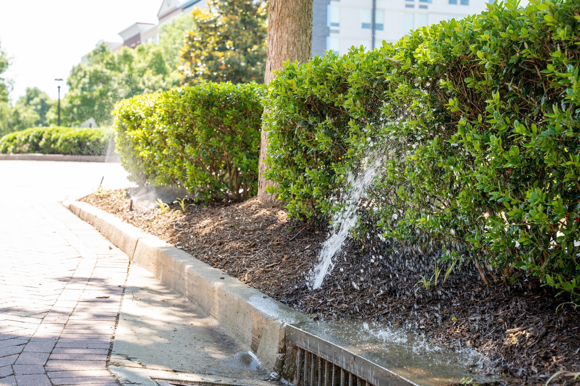 broken sprinkler heads in Euless, TX
