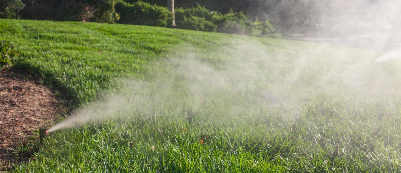 Sprinkler running in grass