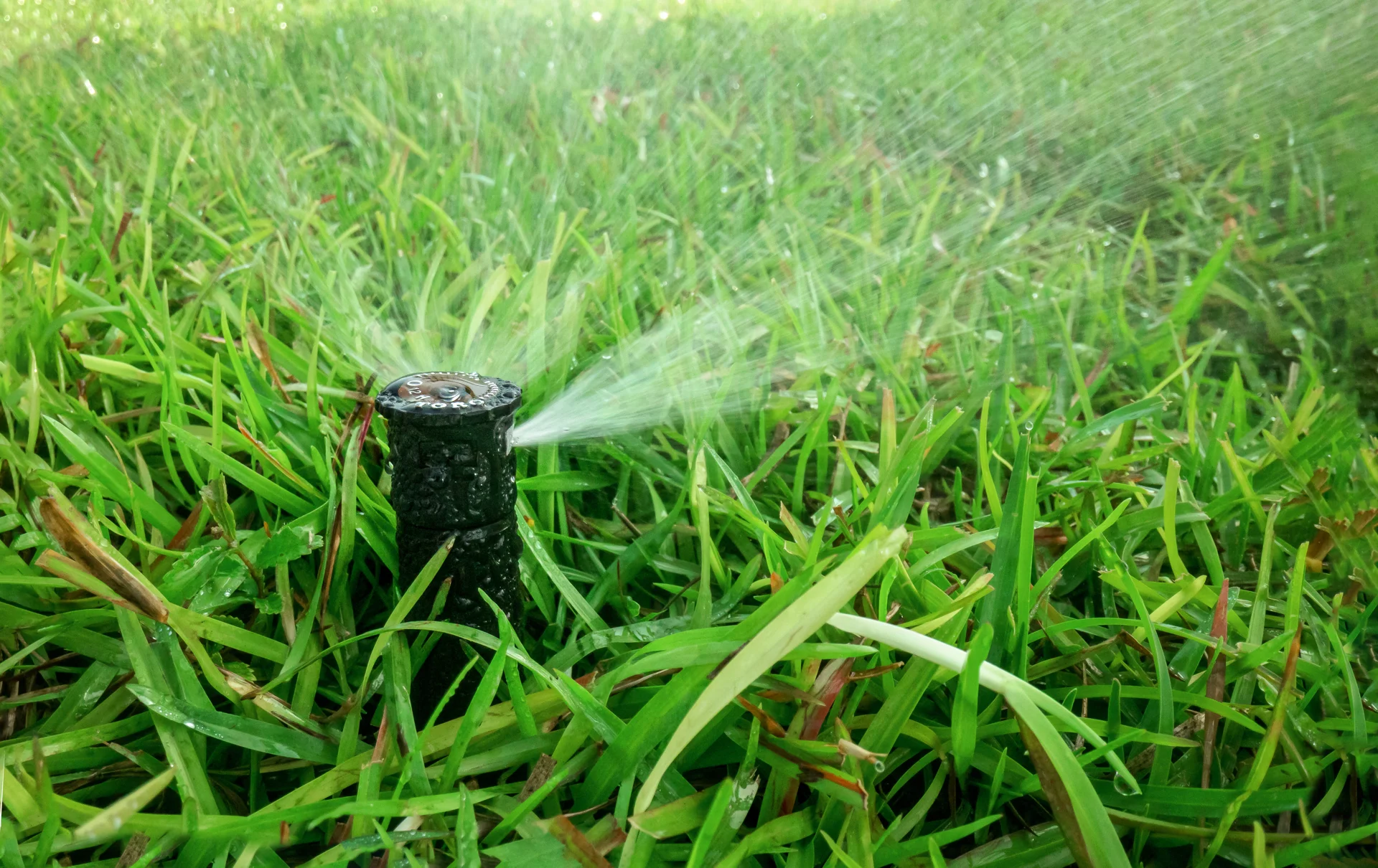 irrigation companies near me
