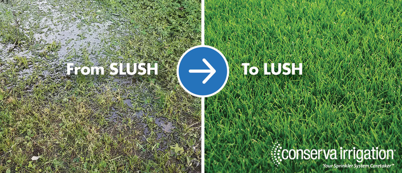 Yard Drainage In Highland Park IL