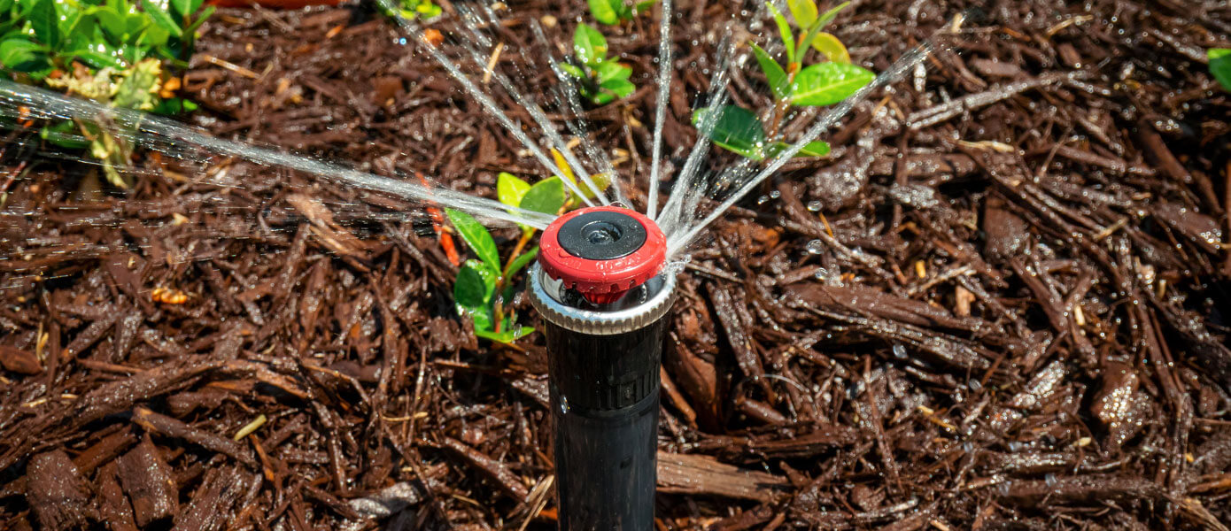 broken sprinkler