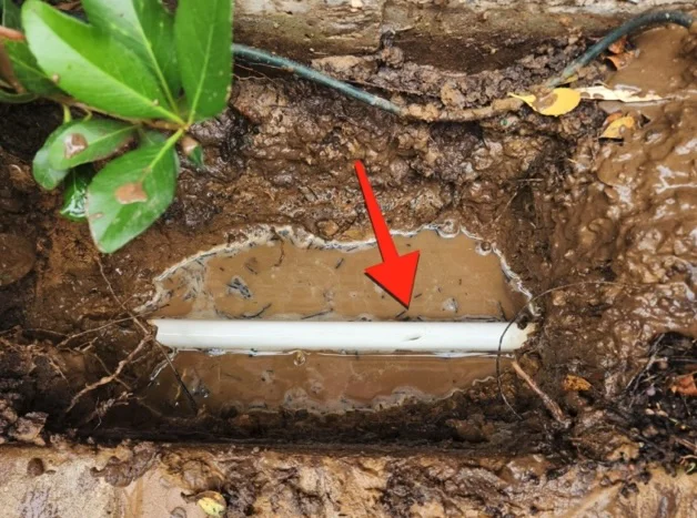 irrigation leak