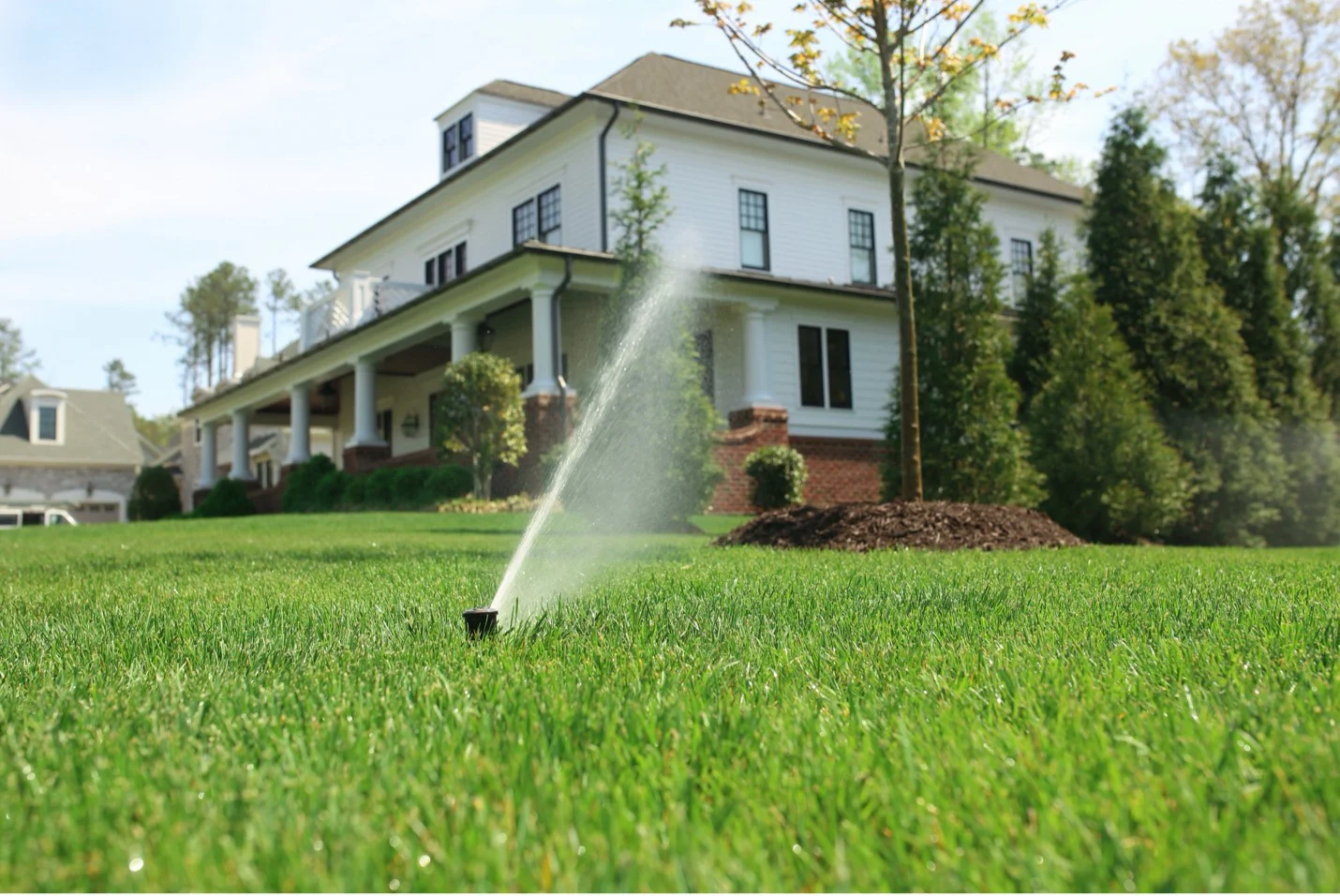 A Homeowner's Guide to Greener, Healthier Grass