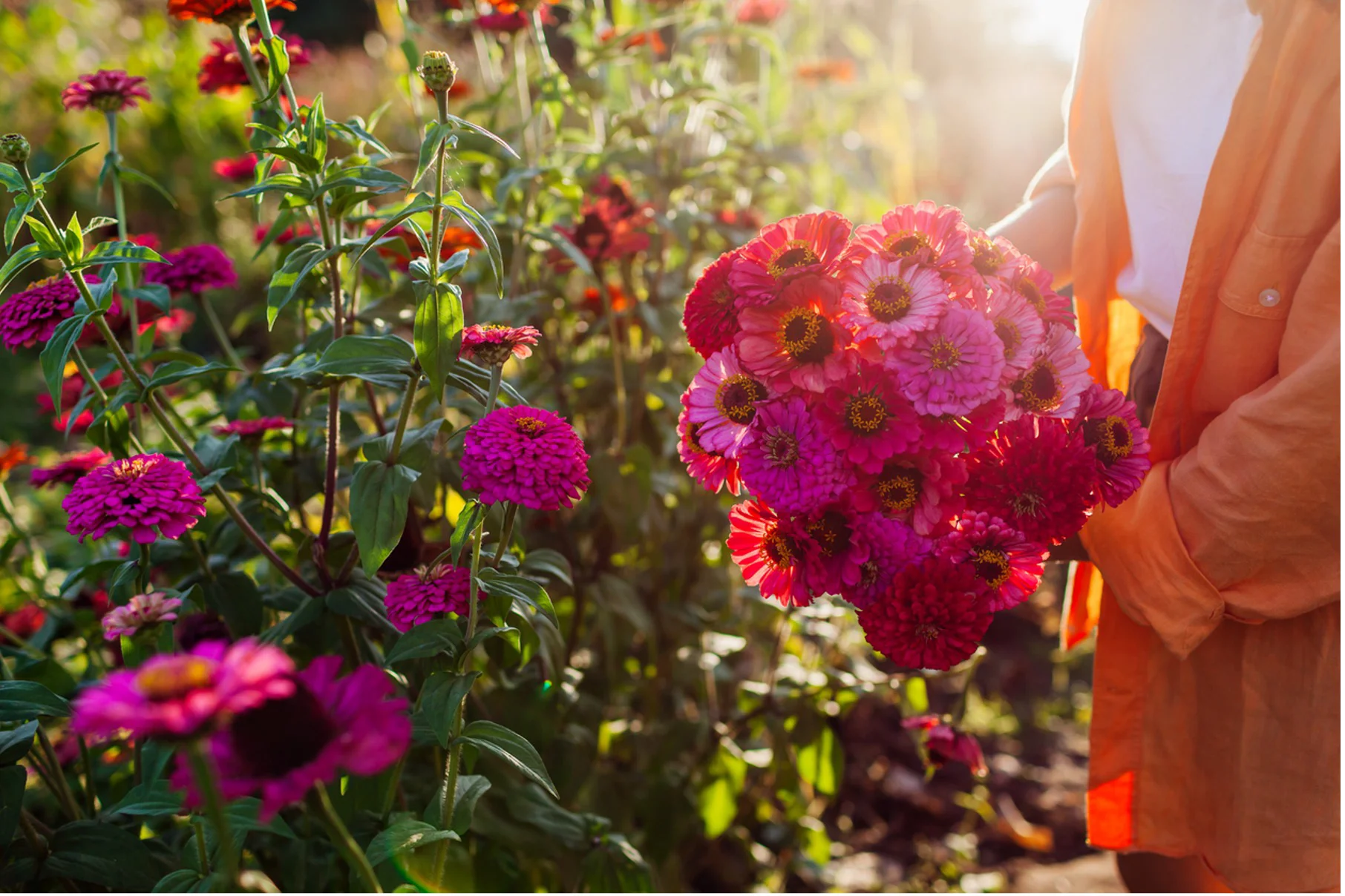 ground sprinkler systems for flower gardens