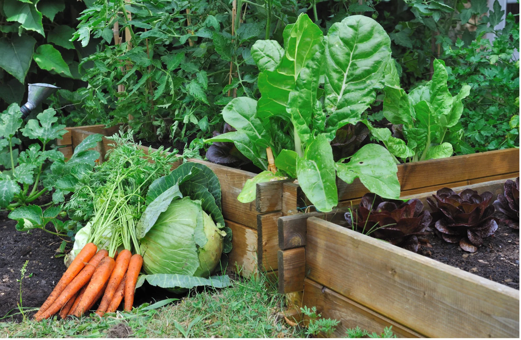 are grounds sprinklers best for my vegetable garden?