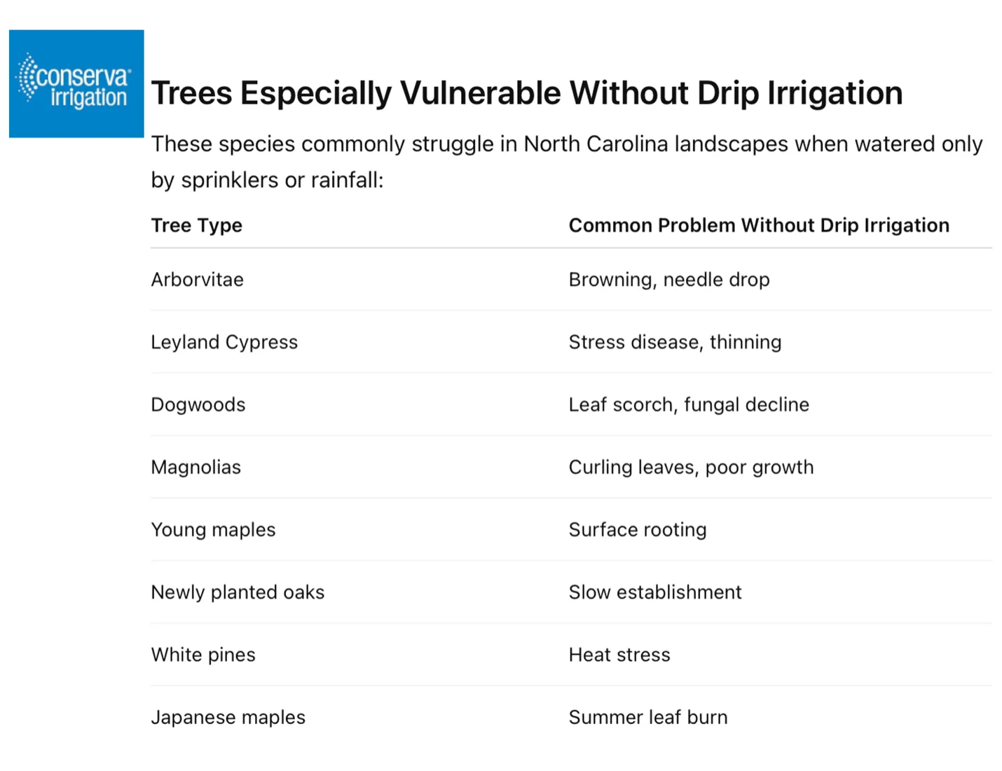 Trees especially vulnerable without drip irrigation