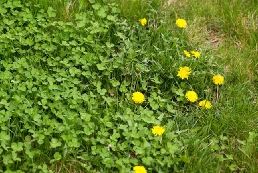 turf irrigation warning signs