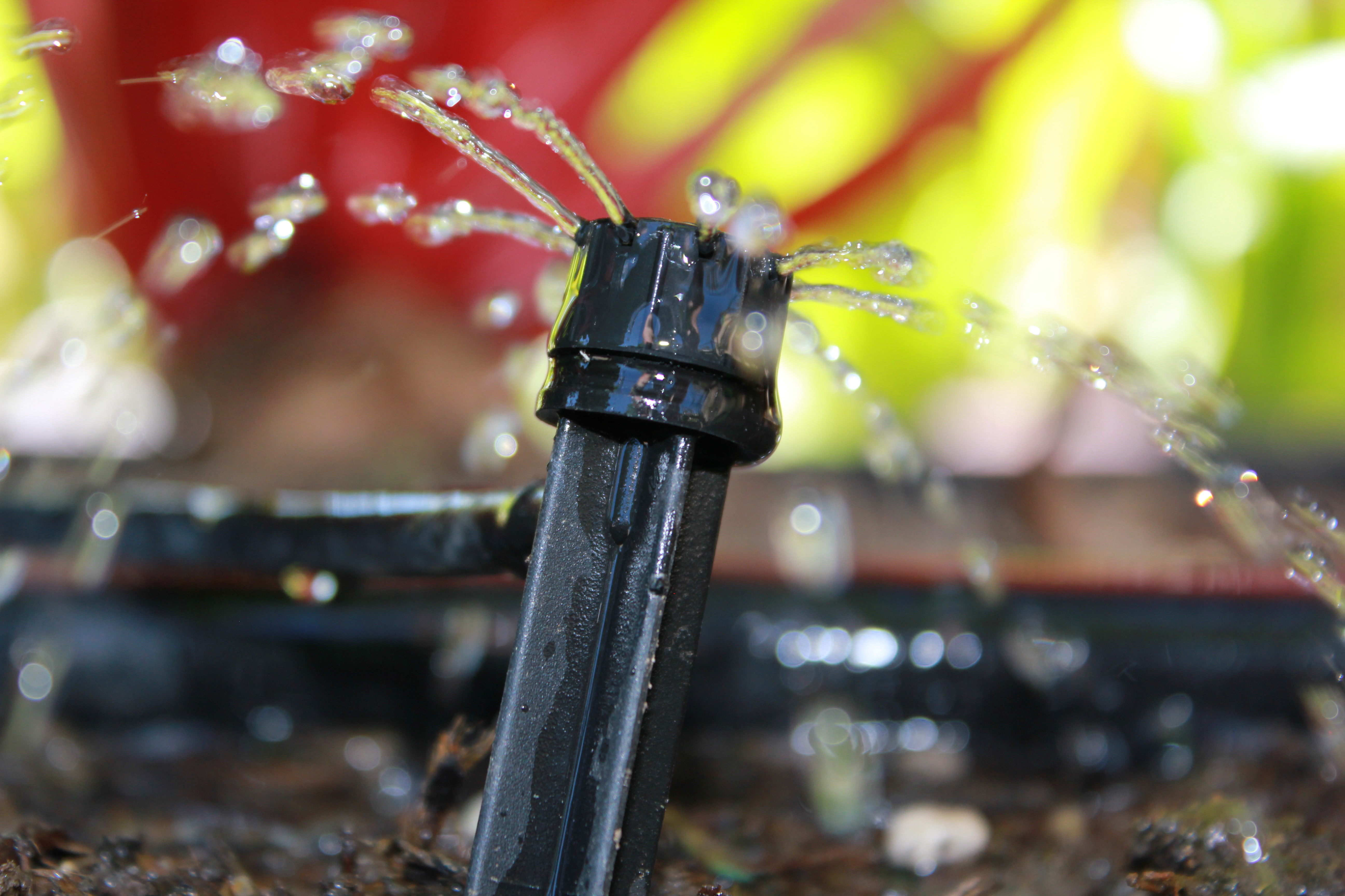 sprinkler spraying water